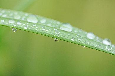 实时战术地牢建造游戏《Cthulhu Keeper》Steam页面 发售日待定